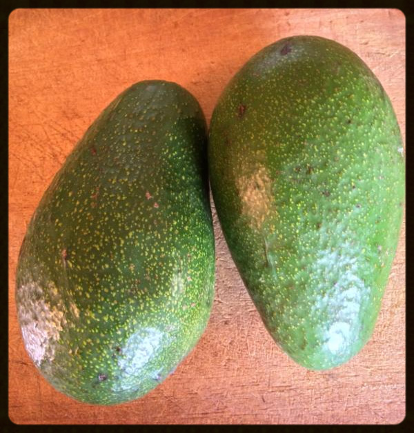 Avocados Avocados