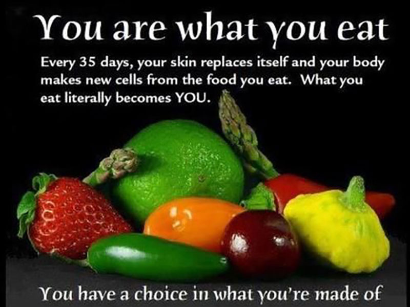 You are what you eat